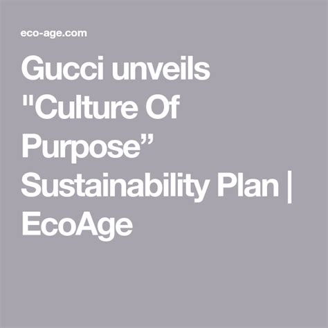 gucci sustainable development plan